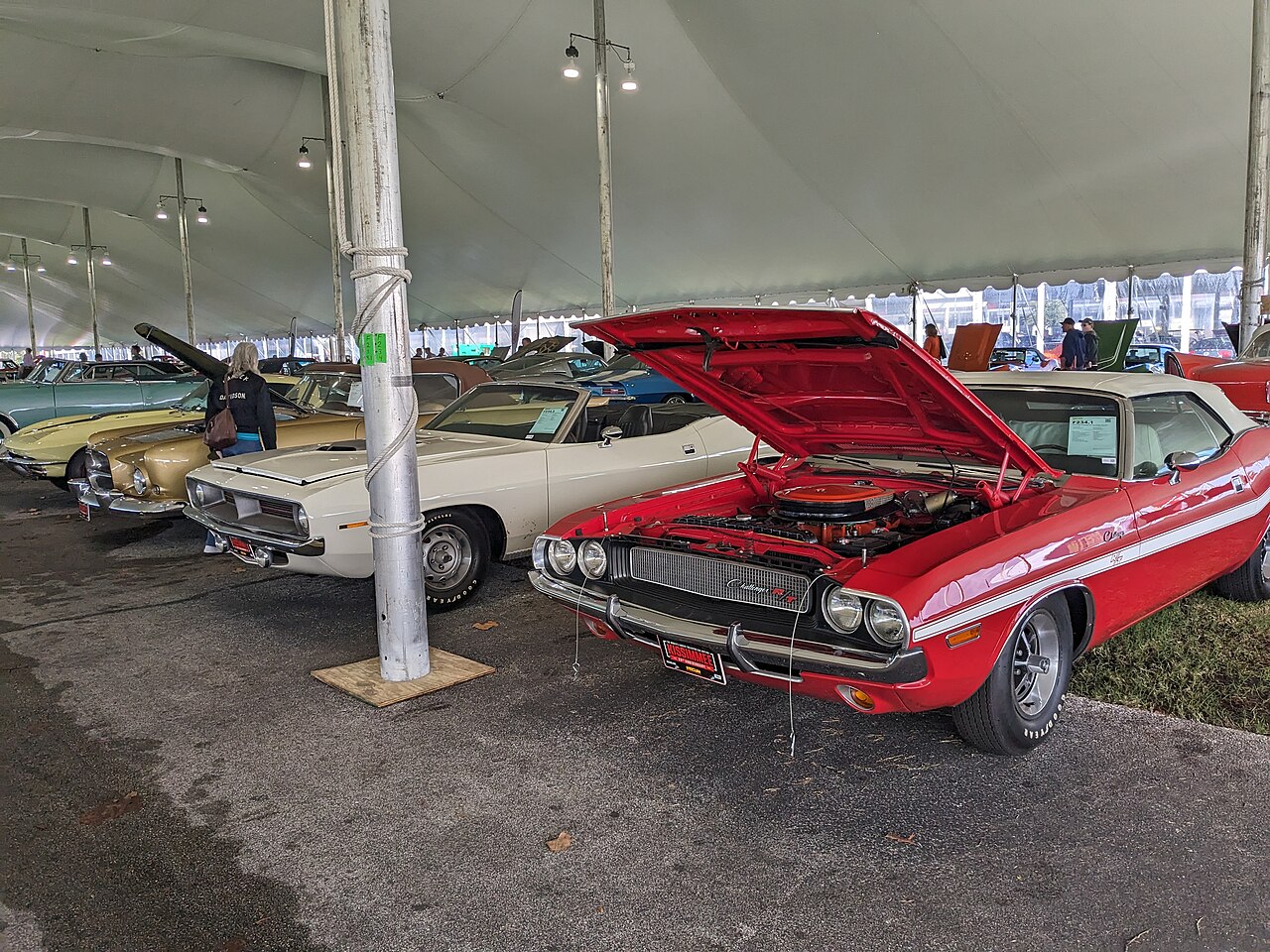 Cars lined up at auction (Wikimedia Commons, CC BY 4.0, Pokemonprime) — illustrative of wholesale used-vehicle market tracked by Manheim MUVVI